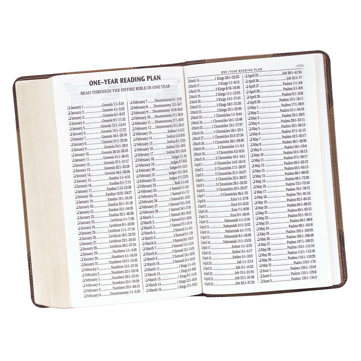 Brown Two-Tone Giant Print Bible KJV038 - Image 7