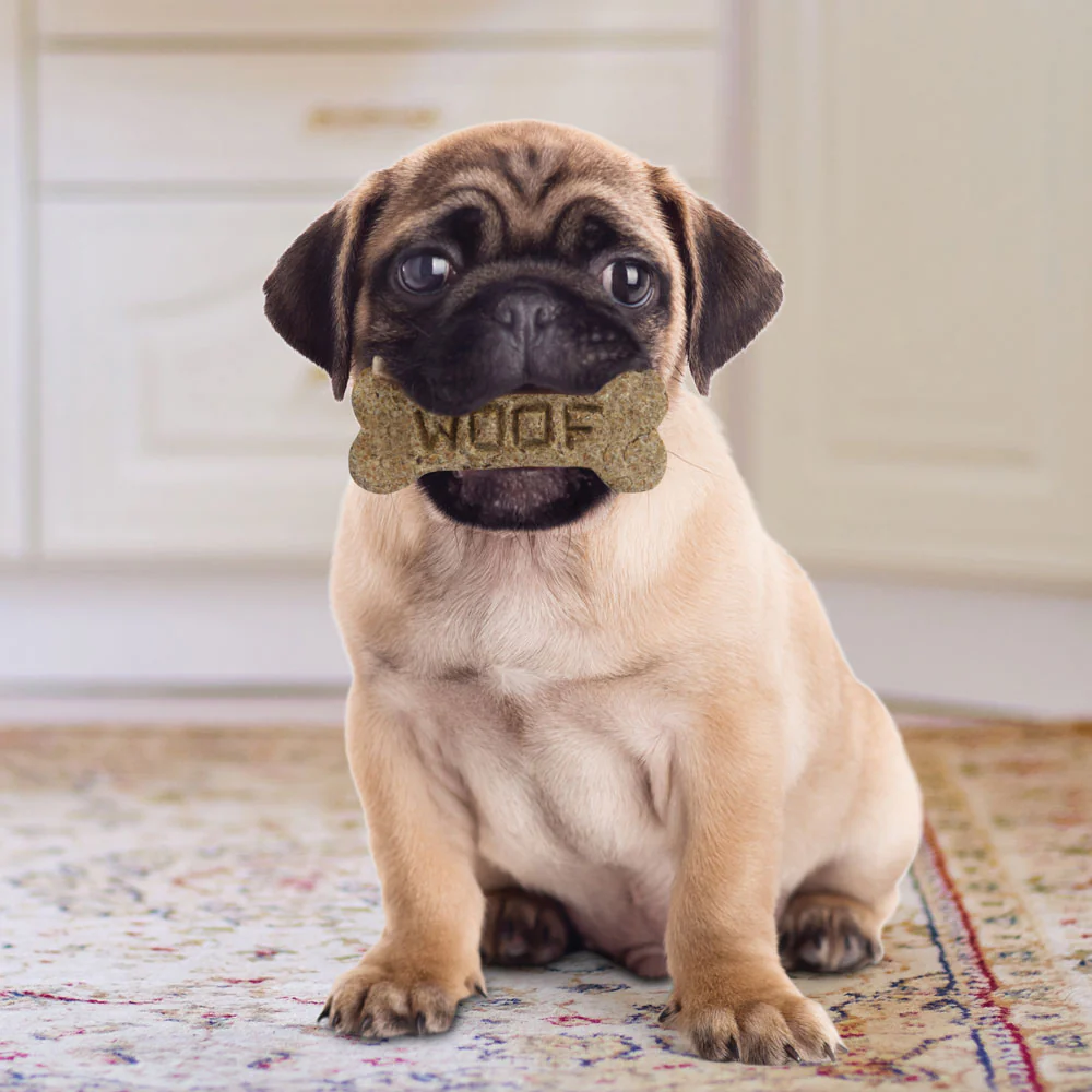 Dog Bone Cookie Cutter - Image 4