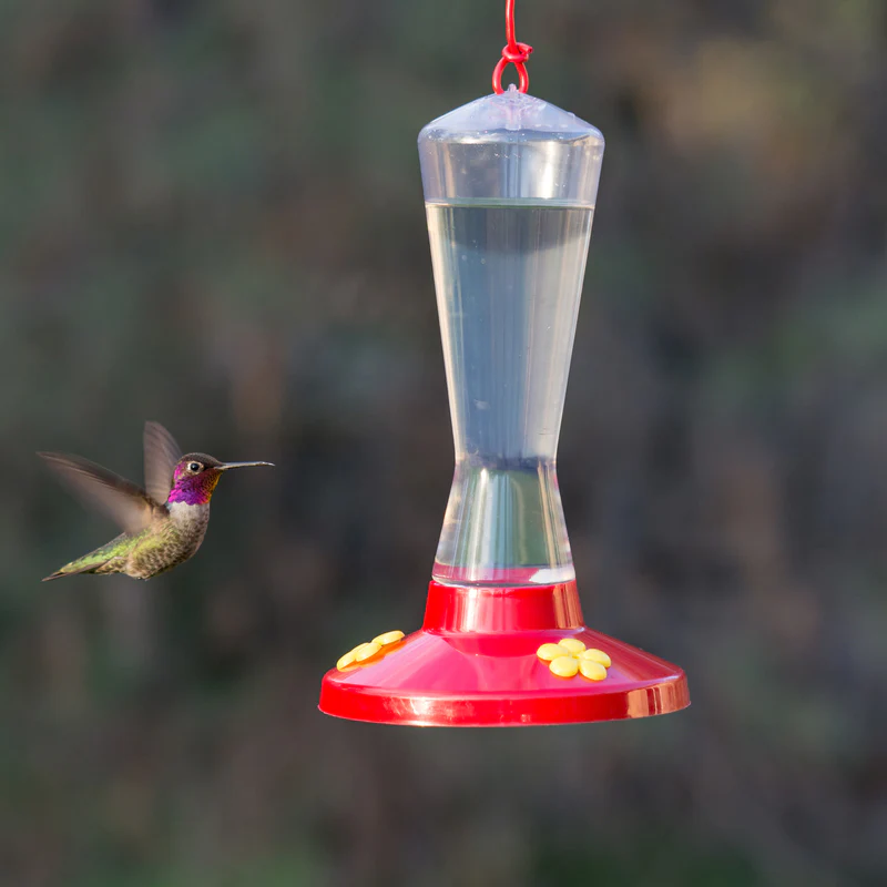 Hummingbird Feeder 211