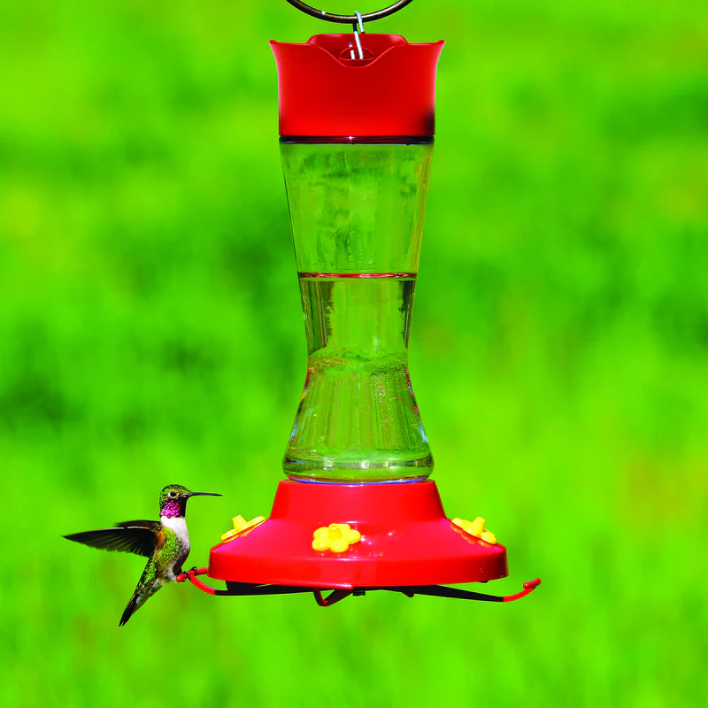 Pinch-Waist Hummingbird Feeder 210-P - Image 2