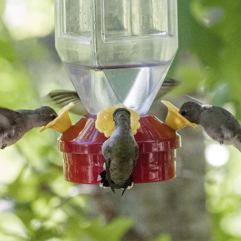 Plastic Lantern Hummingbird Feeder 201 - Image 3