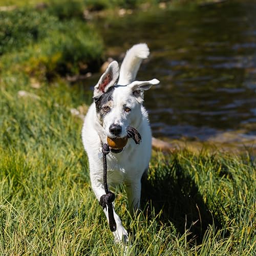 Rubber Ball Dog Pull - Image 4