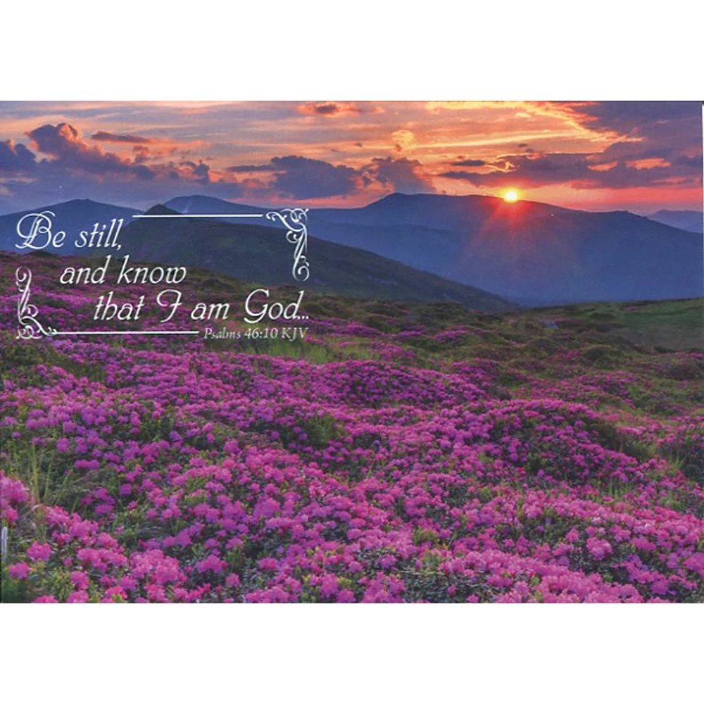 Scenic Blank Boxed Cards FT22589 - Image 5