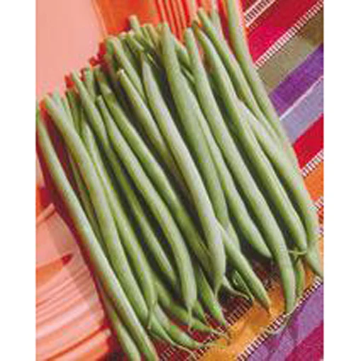 Tema Beans 9920352