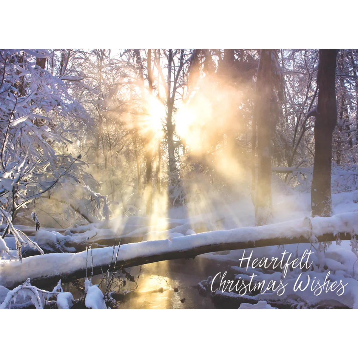 Waterscapes Christmas Boxed Cards FT22712 - Image 8
