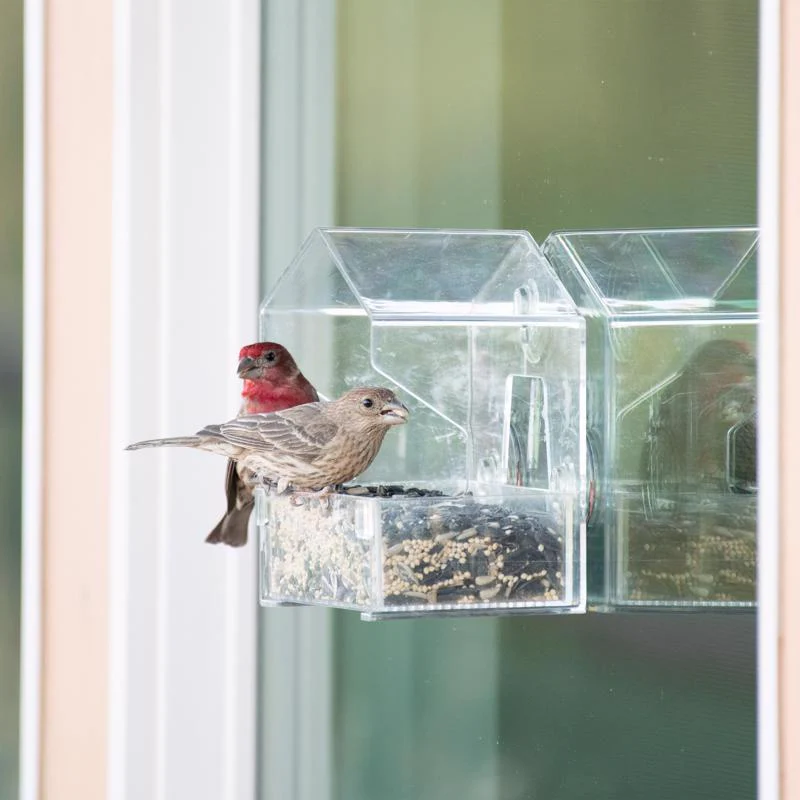 Window Bird Feeder 345 - Image 3